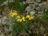 image00008