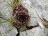 image00009