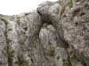image00010