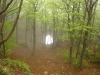 image00013