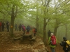 image00015