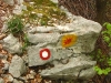 image00016