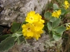 image00019