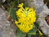 image00020