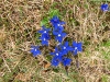 image00021