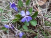 image00022