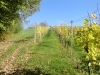 slovenske-gorice-balkanika-018