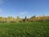 slovenske-gorice-balkanika-051