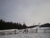 osojscica-2012-31
