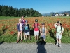 img_20260530_074136