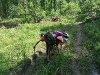 img_20260530_100416