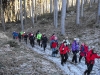 2011_1211018