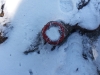 20160116_105630