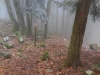 10-dscn8138-prava-smer