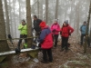img-8ea4c541b6bf46e63155fc687ef8d7d9-v