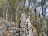 ucka-12