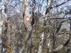 ucka-21