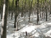 velebit-019