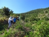 13-img_4631