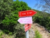15-img_4664