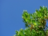 16-img_4665