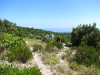 19-img_4675