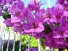 23-img_4714