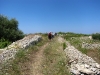 43-img_5009