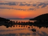 47-img_5118
